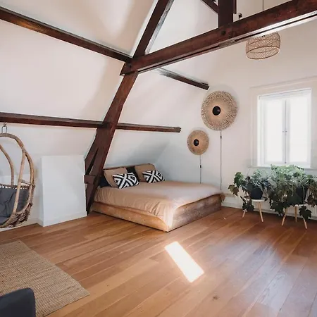 Apartment Big Loft 100m From *