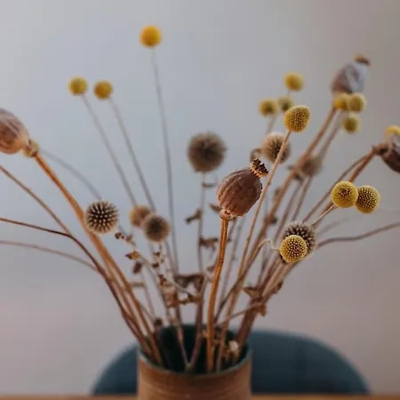 Big Loft 100m From *