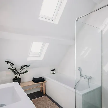 Big Loft 100m From * Гаага