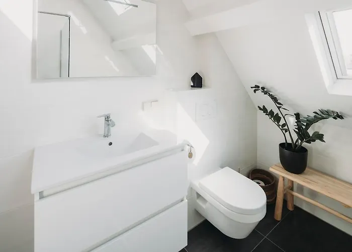 Апартаменты Big Loft 100m From Гаага