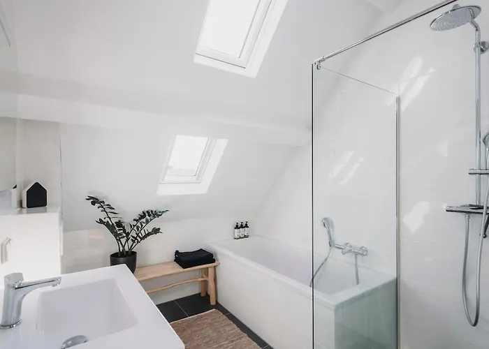 Big Loft 100m From * 海牙