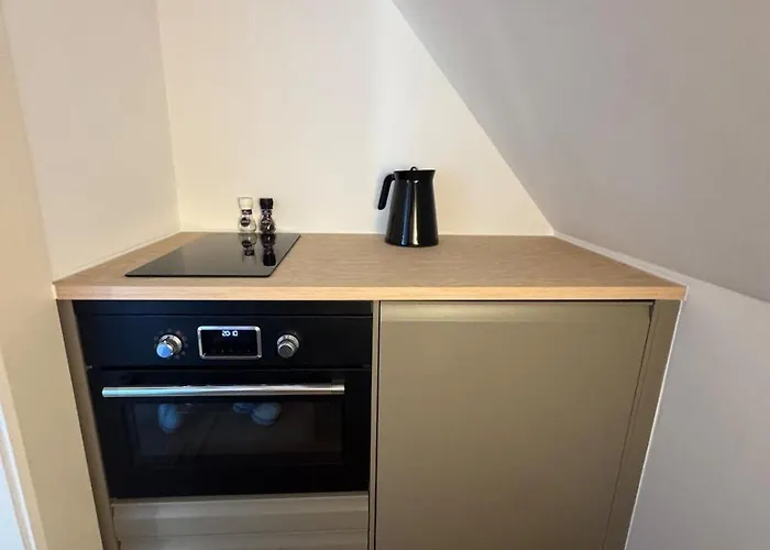 Apartman Big Loft 100m From Hága