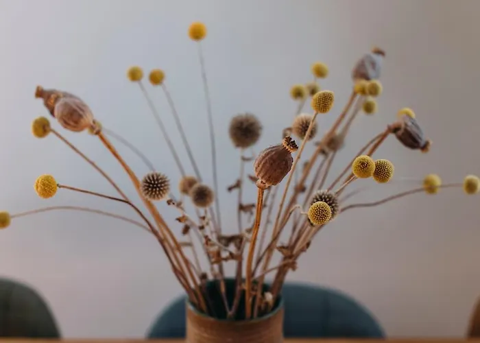 Big Loft 100m From *